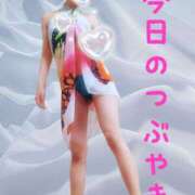 ヒメ日記 2024/12/22 12:04 投稿 なつ スイカ