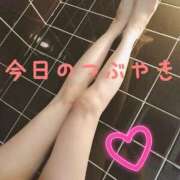 ヒメ日記 2024/12/27 13:06 投稿 なつ スイカ