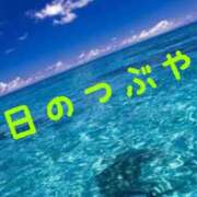ヒメ日記 2025/01/11 23:02 投稿 なつ スイカ