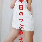 ヒメ日記 2025/01/12 21:46 投稿 なつ スイカ