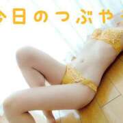 ヒメ日記 2025/01/24 15:25 投稿 なつ スイカ