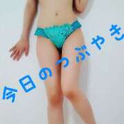 ヒメ日記 2025/02/02 20:15 投稿 なつ スイカ