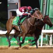 ヒメ日記 2025/02/23 07:50 投稿 なつ スイカ