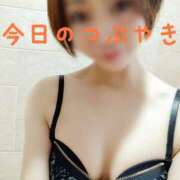 ヒメ日記 2025/02/26 17:01 投稿 なつ スイカ