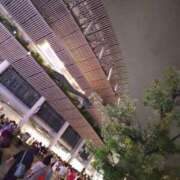 ヒメ日記 2025/09/16 01:57 投稿 なつ スイカ