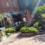 ヒメ日記 2025/11/11 12:03 投稿 なつ スイカ