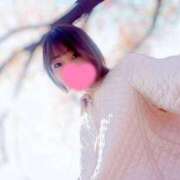 ヒメ日記 2025/12/31 11:21 投稿 なつ スイカ