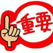 ヒメ日記 2026/03/13 09:45 投稿 なつ スイカ