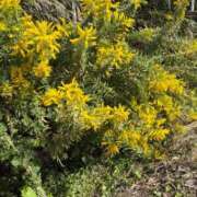 ヒメ日記 2025/10/09 14:15 投稿 白木　愛 セレブ嬉野