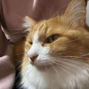 ヒメ日記 2025/11/03 17:03 投稿 白木　愛 セレブ嬉野