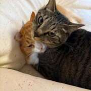 ヒメ日記 2025/11/11 10:15 投稿 白木　愛 セレブ嬉野