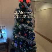 ヒメ日記 2025/11/17 23:43 投稿 白木　愛 セレブ嬉野