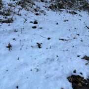 ヒメ日記 2026/01/02 20:46 投稿 白木　愛 セレブ嬉野