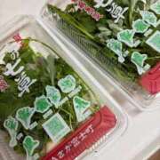 ヒメ日記 2026/01/07 23:26 投稿 白木　愛 セレブ嬉野