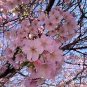 ヒメ日記 2026/03/10 17:26 投稿 白木　愛 セレブ嬉野