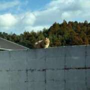 ヒメ日記 2026/03/13 16:06 投稿 白木　愛 セレブ嬉野