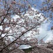 ヒメ日記 2026/04/05 11:30 投稿 白木　愛 セレブ嬉野