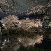 白木　愛 重なる… セレブ嬉野