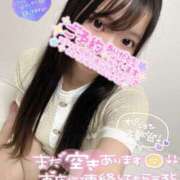 ヒメ日記 2025/06/25 19:06 投稿 しいな ZERO