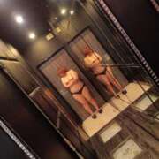 ヒメ日記 2025/11/27 12:30 投稿 ようこ☆全身性感帯の痴女帝 新潟長岡ちゃんこ