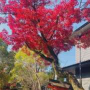 しゅう 🍁 ドMバスターズ 京都店