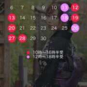 ヒメ日記 2025/03/17 00:50 投稿 夏川美紀 プレジデントハウス