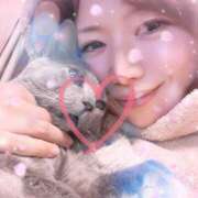 ヒメ日記 2025/03/27 22:59 投稿 夏川美紀 プレジデントハウス