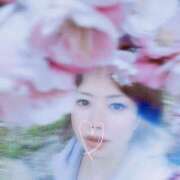 ヒメ日記 2025/04/03 14:34 投稿 夏川美紀 プレジデントハウス