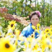 ヒメ日記 2025/07/24 18:02 投稿 夏川美紀 プレジデントハウス