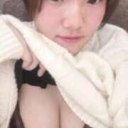 ヒメ日記 2025/02/22 19:09 投稿 ふわり ダイスキ