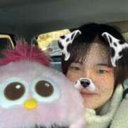 ヒメ日記 2025/02/25 14:57 投稿 ふわり ダイスキ