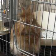 ヒメ日記 2025/03/01 21:31 投稿 ふわり ダイスキ