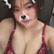 ヒメ日記 2025/03/04 18:47 投稿 ふわり ダイスキ