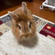 ヒメ日記 2025/03/05 23:54 投稿 ふわり ダイスキ