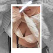 ヒメ日記 2025/03/08 19:21 投稿 ふわり ダイスキ