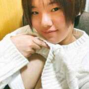 ヒメ日記 2025/03/11 13:54 投稿 ふわり ダイスキ