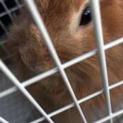 ふわり 病院🐰 ダイスキ