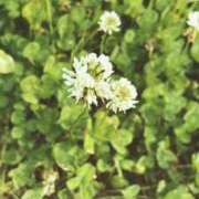 ふわり またまたお久しぶりです♡ ダイスキ