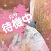 ヒメ日記 2025/01/26 12:43 投稿 みく 丸妻 横浜本店