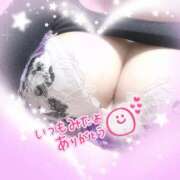 ヒメ日記 2025/01/29 21:40 投稿 みく 丸妻 横浜本店