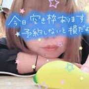 ヒメ日記 2025/02/18 10:17 投稿 みく 丸妻 横浜本店