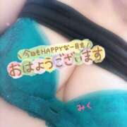 ヒメ日記 2025/04/05 06:49 投稿 みく 丸妻 横浜本店