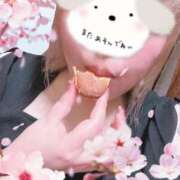 ヒメ日記 2025/04/05 22:19 投稿 みく 丸妻 横浜本店