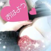 ヒメ日記 2025/04/07 07:03 投稿 みく 丸妻 横浜本店