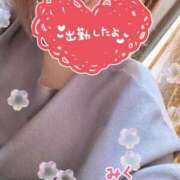 ヒメ日記 2025/04/14 10:14 投稿 みく 丸妻 横浜本店