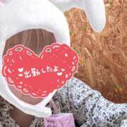 ヒメ日記 2025/04/15 10:17 投稿 みく 丸妻 横浜本店