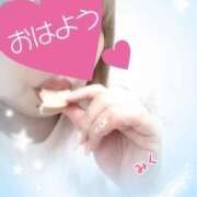 ヒメ日記 2025/04/17 07:03 投稿 みく 丸妻 横浜本店