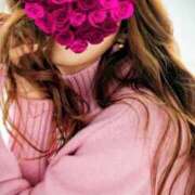 ヒメ日記 2025/11/16 22:13 投稿 ゆみ しろうさぎ