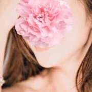 ヒメ日記 2025/11/20 22:13 投稿 ゆみ しろうさぎ