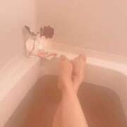 ゆみ こんにちは(⁎ᴗ͈ˬᴗ͈⁎) しろうさぎ